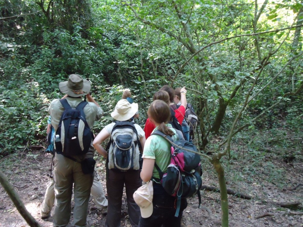 Visitors on a chimpanzee trekking experience in Kalinzu forest, Queen Elizabeth National Park