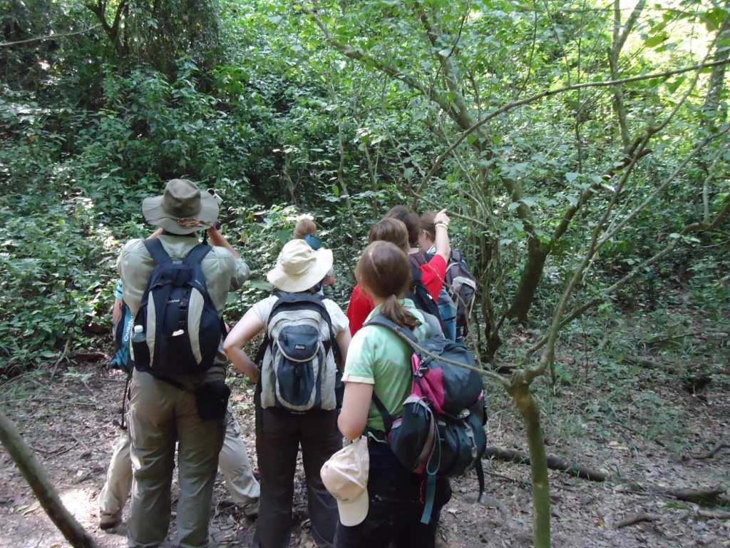 Guests on one of Maramagambo Forest Nature Walks, near Queen Elizabeth National Park