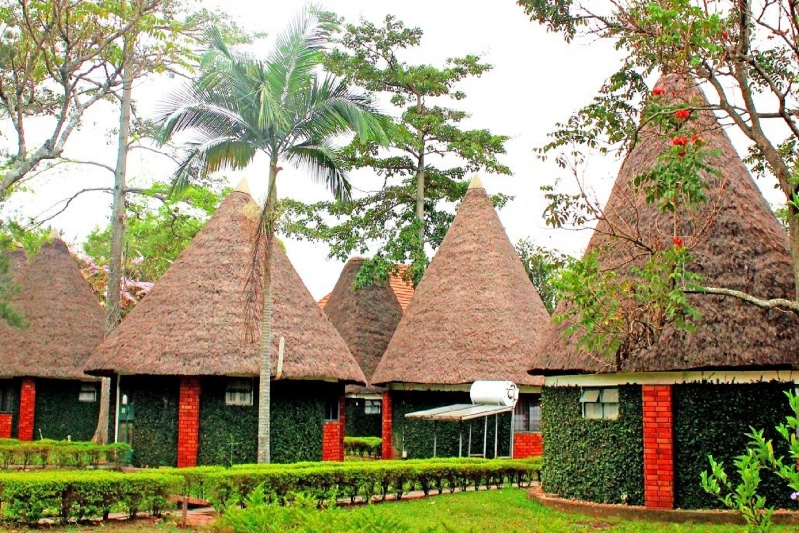 Savannah Resort Hotel, Queen Elizabeth National Park