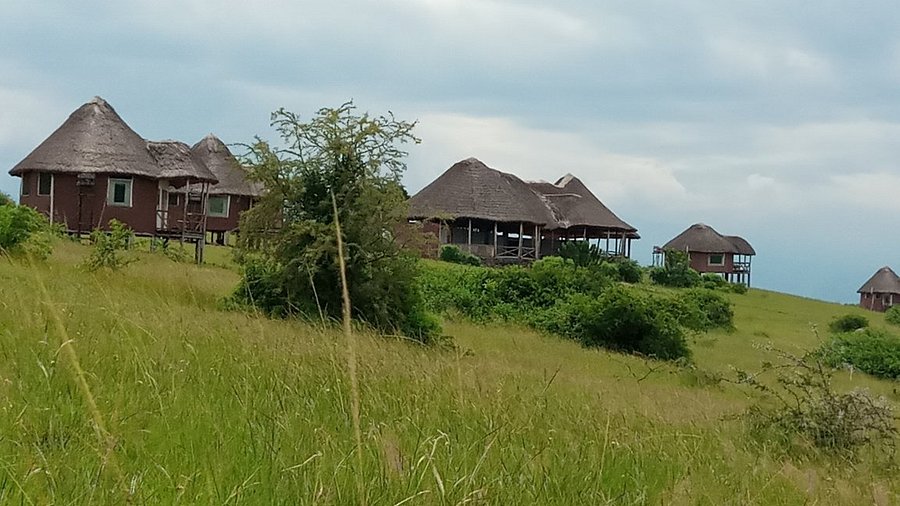 Kasenyi Wild Game Lodge, Queen Elizabeth National Park