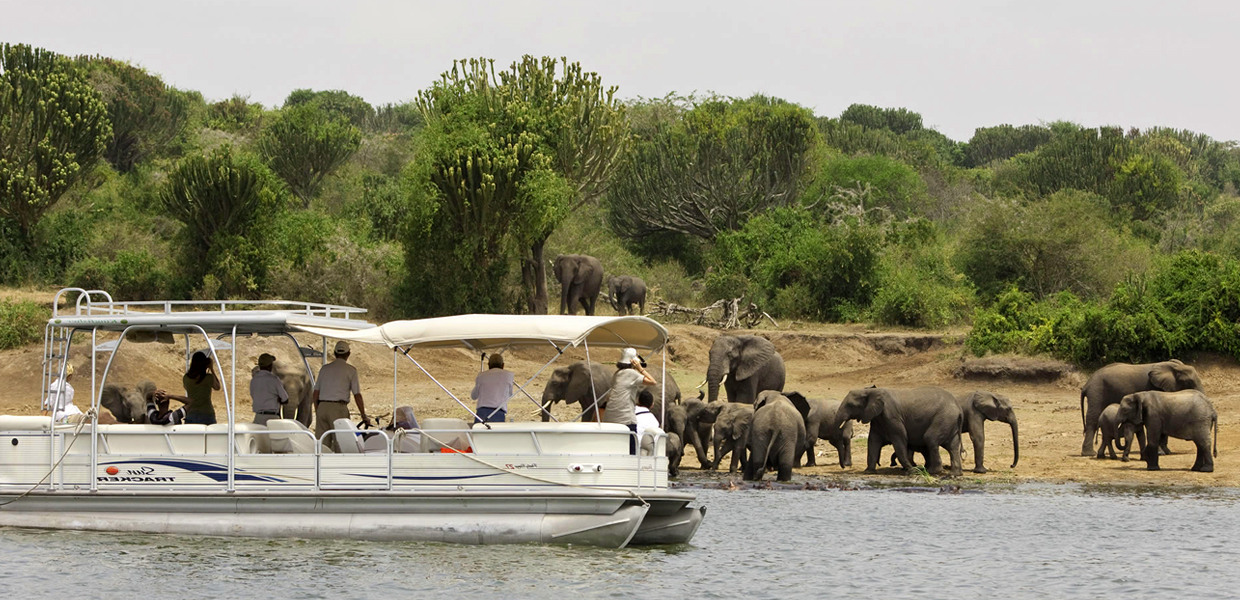 The amazing boat cruise along Kazinga Channel in Queen Elizabeth National Park