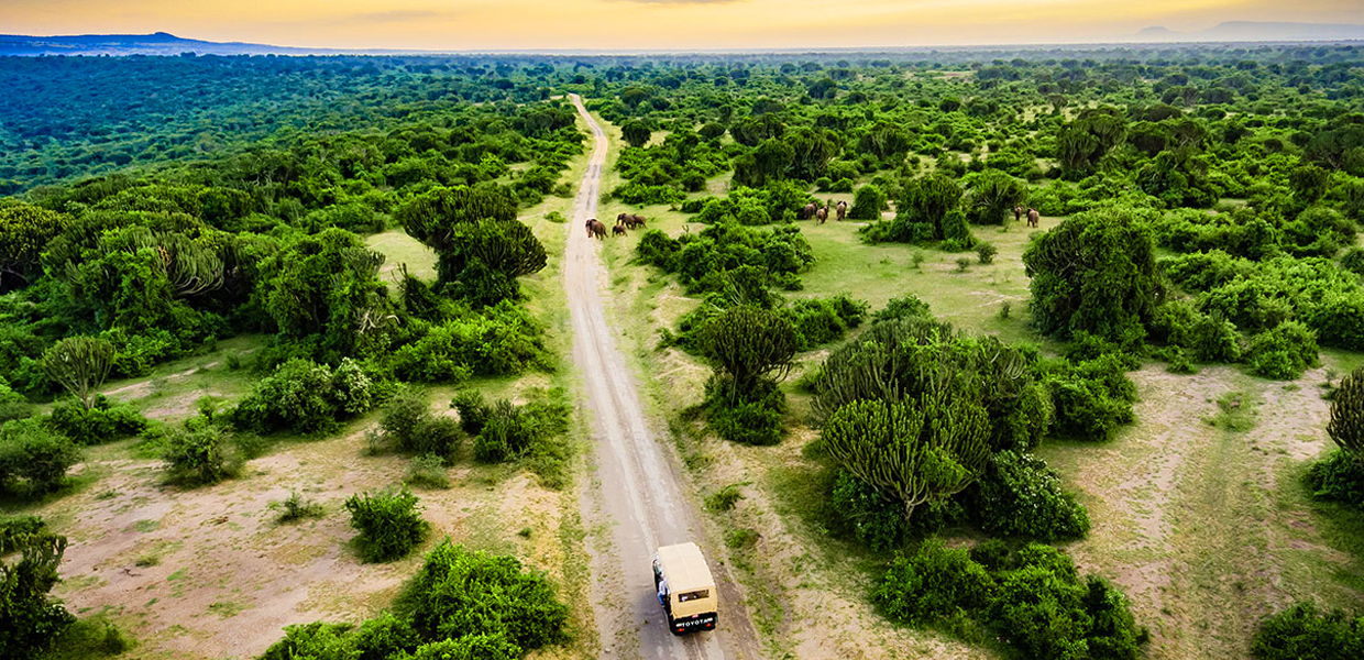 An experiential wildlife game drive in Queen Elizabeth National Park