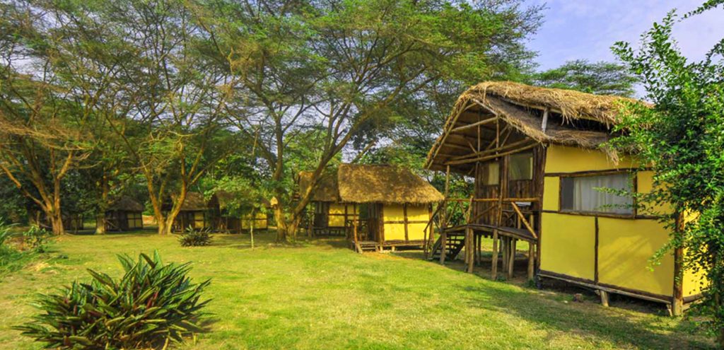 Bull Bush River Camp, Queen Elizabeth National Park, Uganda