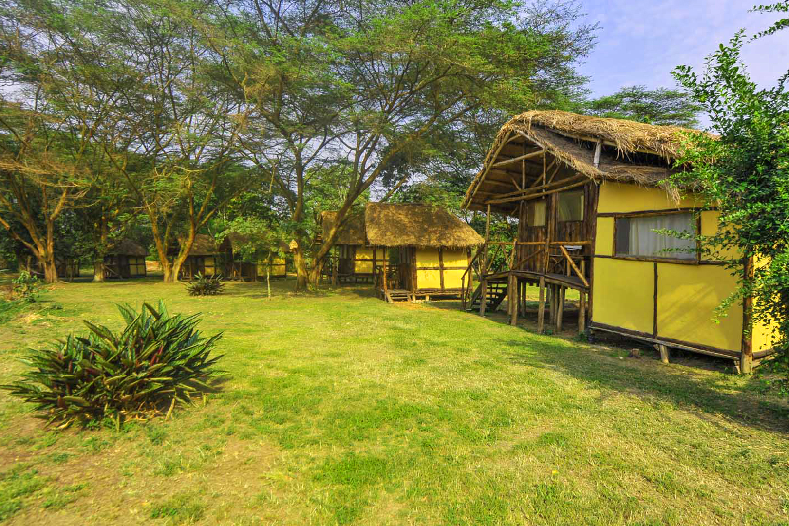 Bull Bush River Camp, Queen Elizabeth National Park