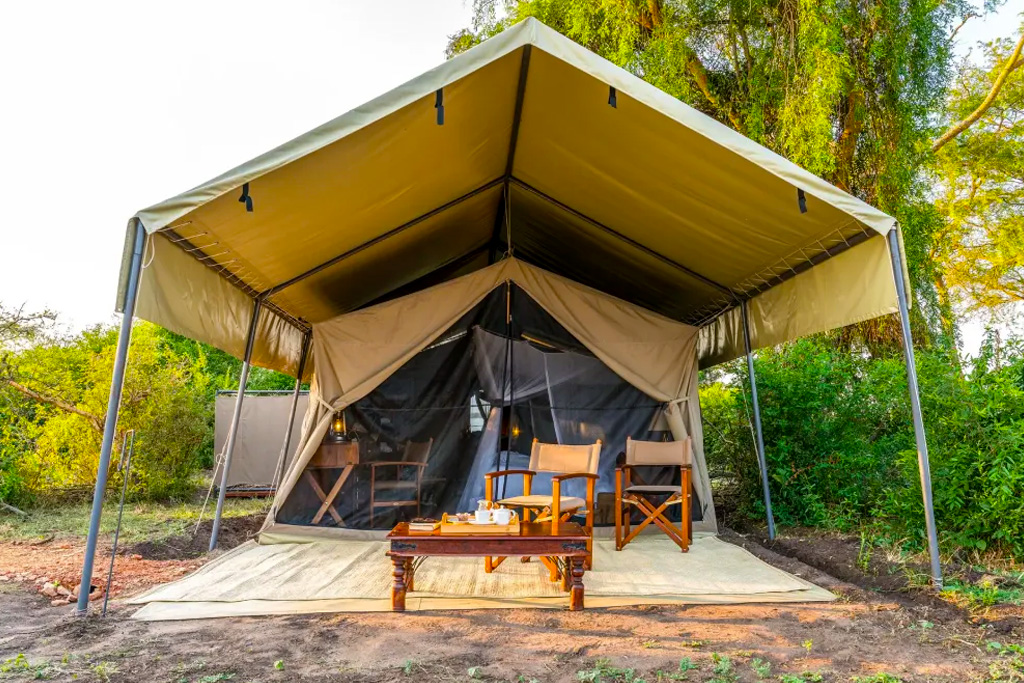 honey-bear-bush-camp-in-queen-elizabeth-national-park